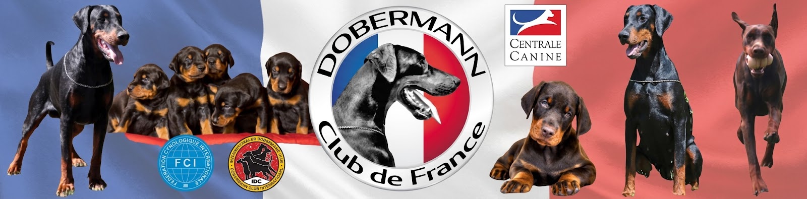 /images/bannieres/ban-69c3b73f2303d.jpg